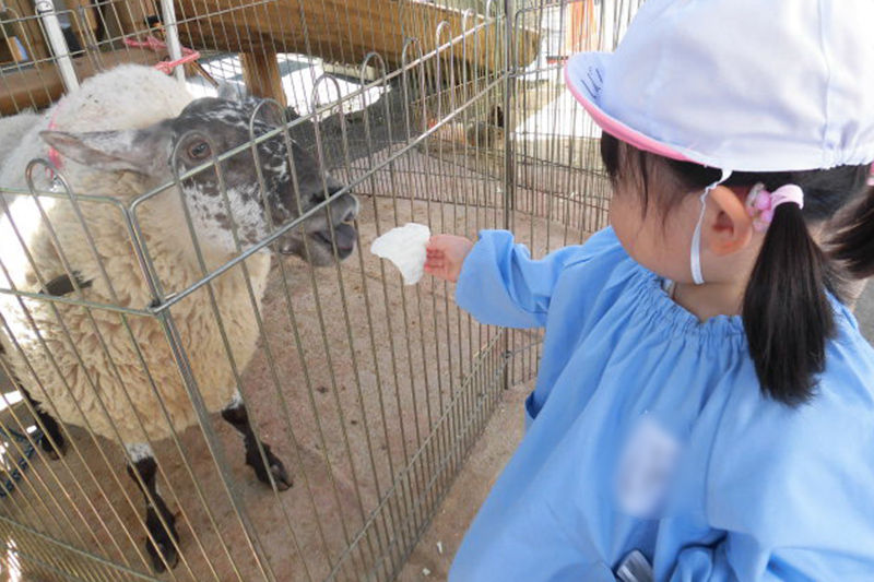 ふれあい動物村