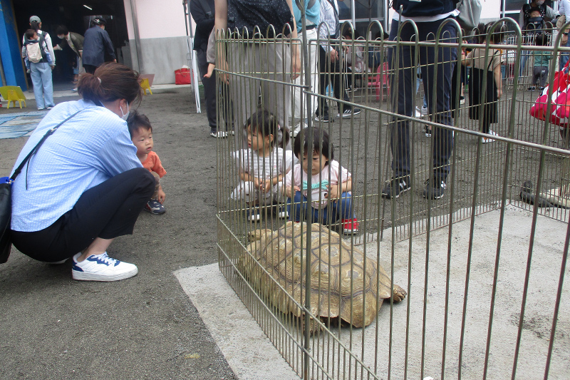 移動動物園