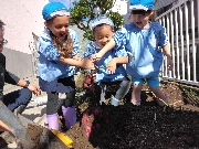 🎉それいけ！年長組さつまいも物語🎉